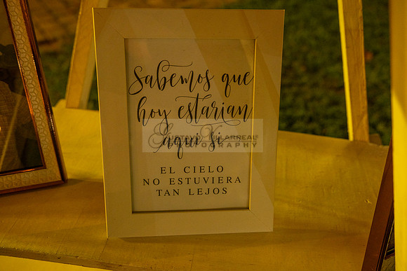 Lalo and Indira wedding, boda en Puga Nayarit Mexico, Gustavo Villarreal Photography, 323-633-8283, www.gustavovillarreal.com