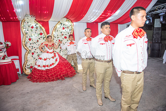Estephanie Cristal Quinceanera photo shoot ideas, video in Pasadena City Hall in Pasadena Ca. Home reception, 323-633-8283