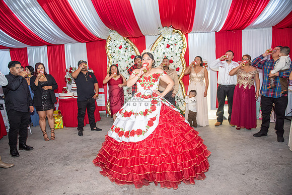 Estephanie Cristal Quinceanera photo shoot ideas, video in Pasadena City Hall in Pasadena Ca. Home reception, 323-633-8283