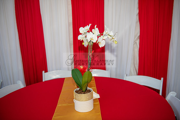 Estephanie Cristal Quinceanera photo shoot ideas, video in Pasadena City Hall in Pasadena Ca. Home reception, 323-633-8283