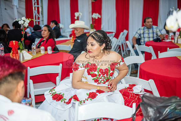 Estephanie Cristal Quinceanera photo shoot ideas, video in Pasadena City Hall in Pasadena Ca. Home reception, 323-633-8283