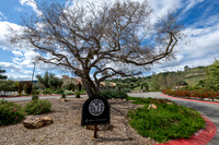 Gabriel and Daisy, LINK #1, wedding, celebration, reception, ceremony at Monserate Winery at Fallbrook Ca, Photography, videography, Gustavo Villarreal, 323-633-8283, www.gustavovillarreal.com