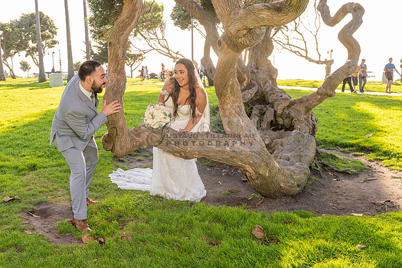 LINK-#1-Stephanie and Albert wedding photography, celebration at Sonesta Redondo Beach and Marina in Redondo Beach Ca, photographer, videographer, Gustavo Villarreal, 323-633-8283, www.gvphotoandvideo