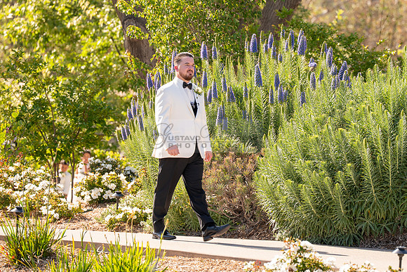 Gabriel and Daisy, LINK #1, wedding, celebration, reception, ceremony at Monserate Winery at Fallbrook Ca, Photography, videography, Gustavo Villarreal, 323-633-8283, www.gustavovillarreal.com