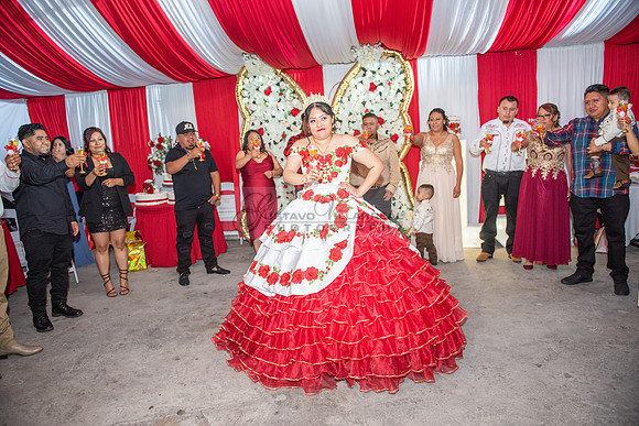 Estephanie Cristal Quinceanera photo shoot ideas, video in Pasadena City Hall in Pasadena Ca. Home reception, 323-633-8283