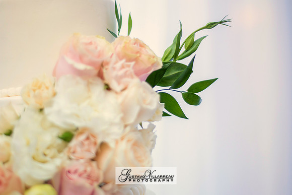 weddings-quinceaneras-sweet 16-engagements-family portraits-business headshots-graduations photography and videography-323-633-8283