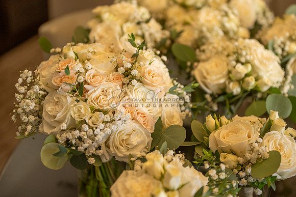 LINK-#1-Stephanie and Albert wedding photography, celebration at Sonesta Redondo Beach and Marina in Redondo Beach Ca, photographer, videographer, Gustavo Villarreal, 323-633-8283, www.gvphotoandvideo