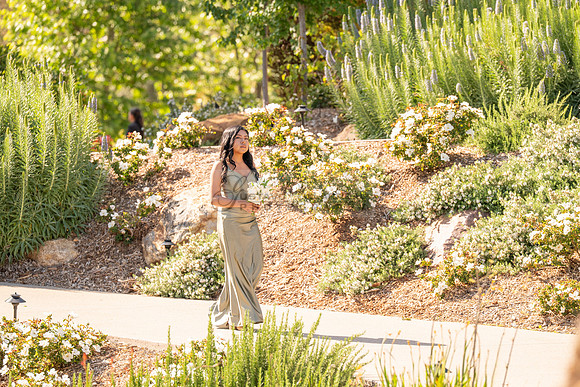 Gabriel and Daisy, LINK #1, wedding, celebration, reception, ceremony at Monserate Winery at Fallbrook Ca, Photography, videography, Gustavo Villarreal, 323-633-8283, www.gustavovillarreal.com