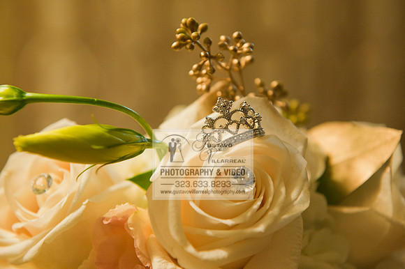 Quinceaneras and weddings photography and video at Embassy suite