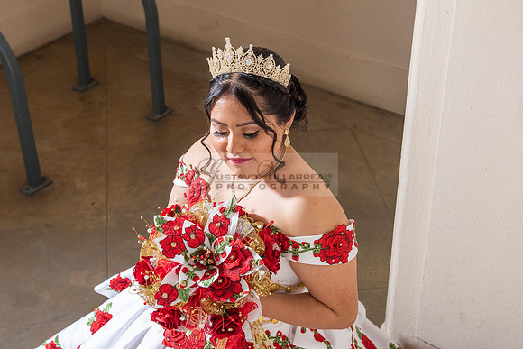 Estephanie Cristal Quinceanera photo shoot ideas, video in Pasadena City Hall in Pasadena Ca. Home reception, 323-633-8283