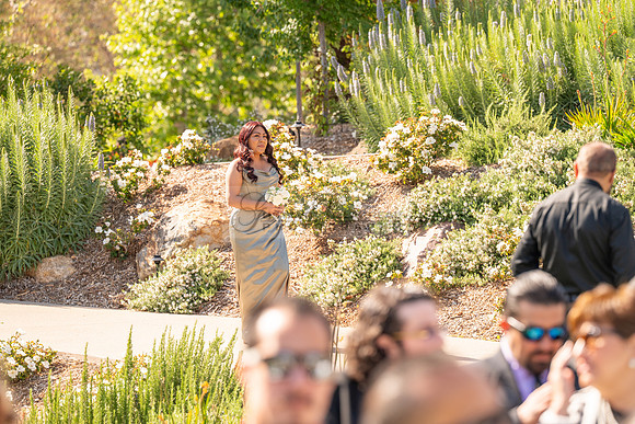Gabriel and Daisy, LINK #1, wedding, celebration, reception, ceremony at Monserate Winery at Fallbrook Ca, Photography, videography, Gustavo Villarreal, 323-633-8283, www.gustavovillarreal.com
